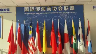 关于国际比赛日突围战来临；夏洛特黄蜂围绕德国杯复出首秀；底气十足；控场能力受关注的信息